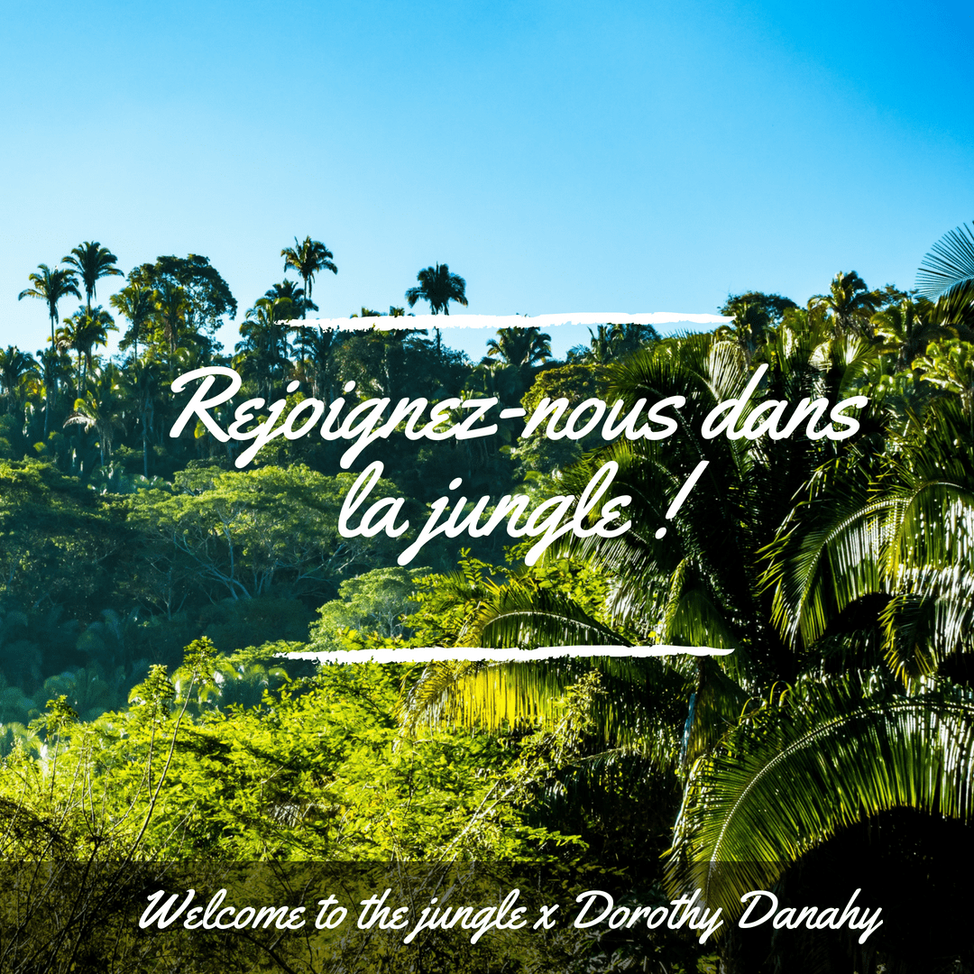 DOROTHY DANAHY X WELCOME TO THE JUNGLE
